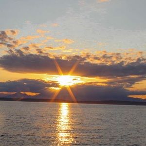 Meet your Posher, Halle